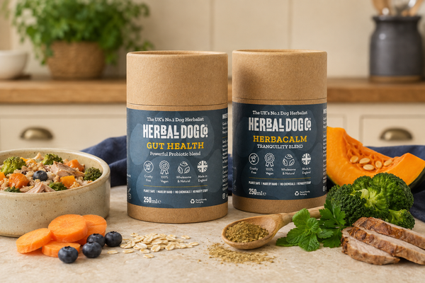 Supplements vs Diet: Can Food Alone Cover Your Dog's Needs?