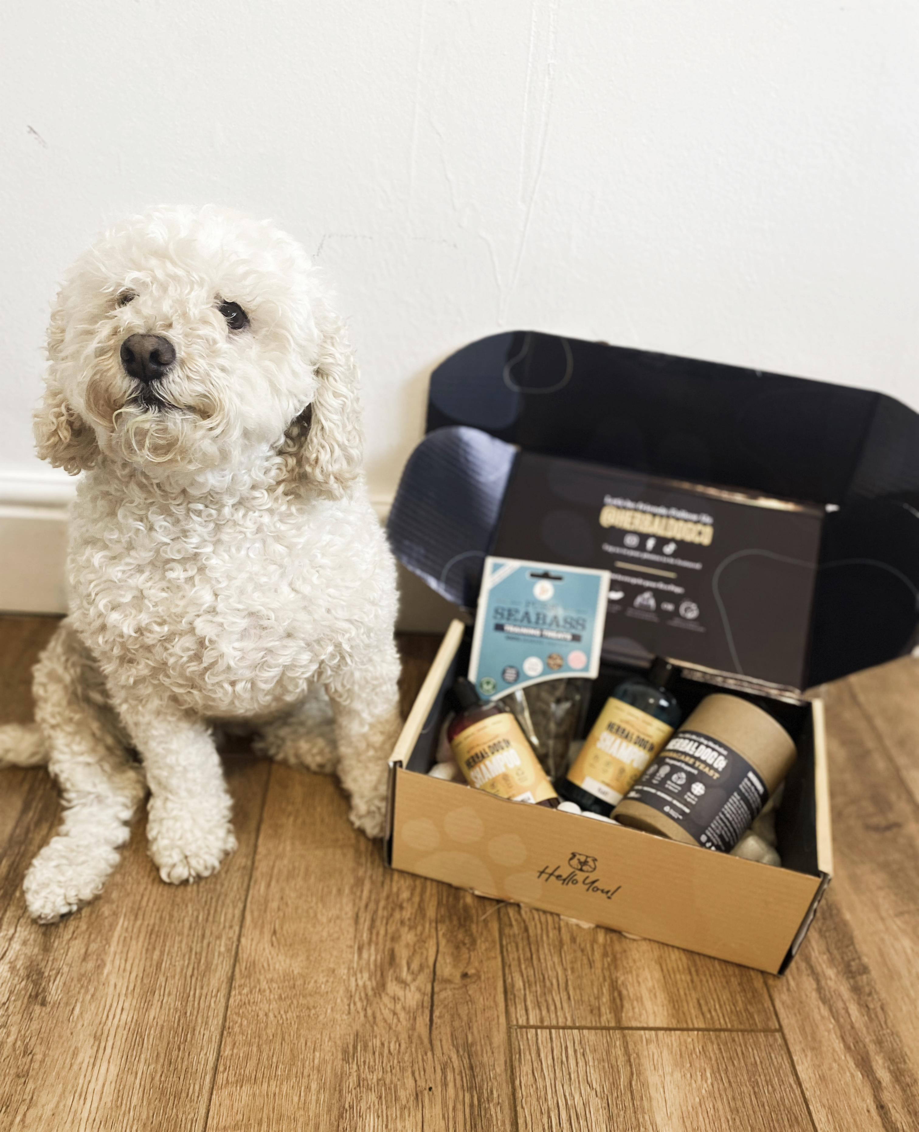 Sensational herbal products from the Herbal Dog Co to soothe, calm and groom your dog.