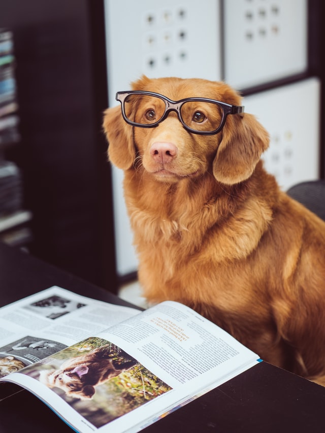 herbal dog science