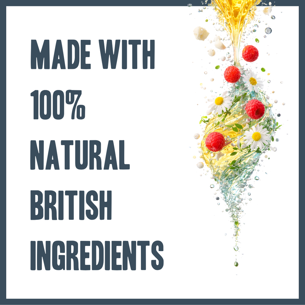 Botanical Paw Comfort Cream for dogs – natural moisturising paw protection cream | Herbal Dog Co