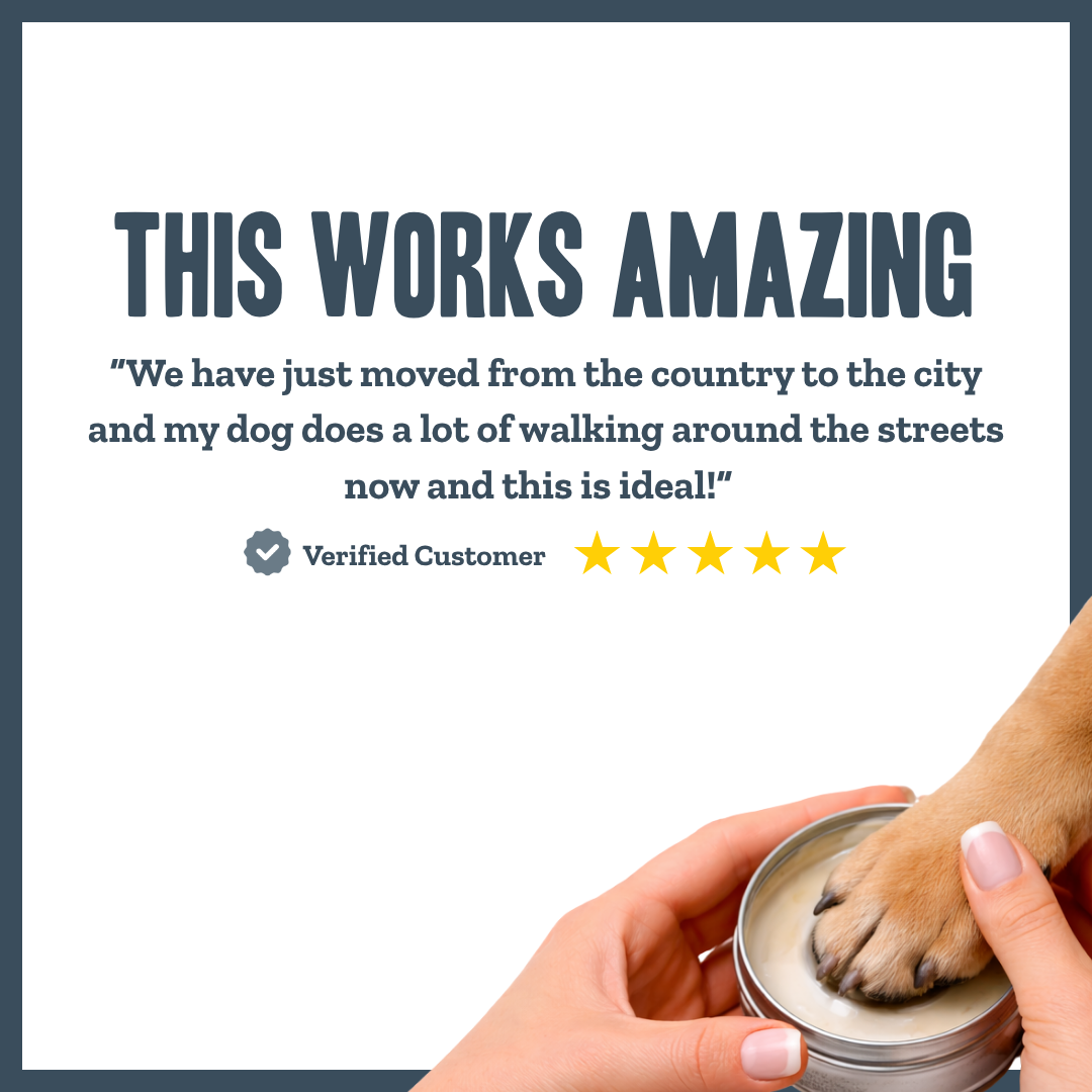 Paw Protection Balm for dogs – natural nourishing protective paw pad balm | Herbal Dog Co