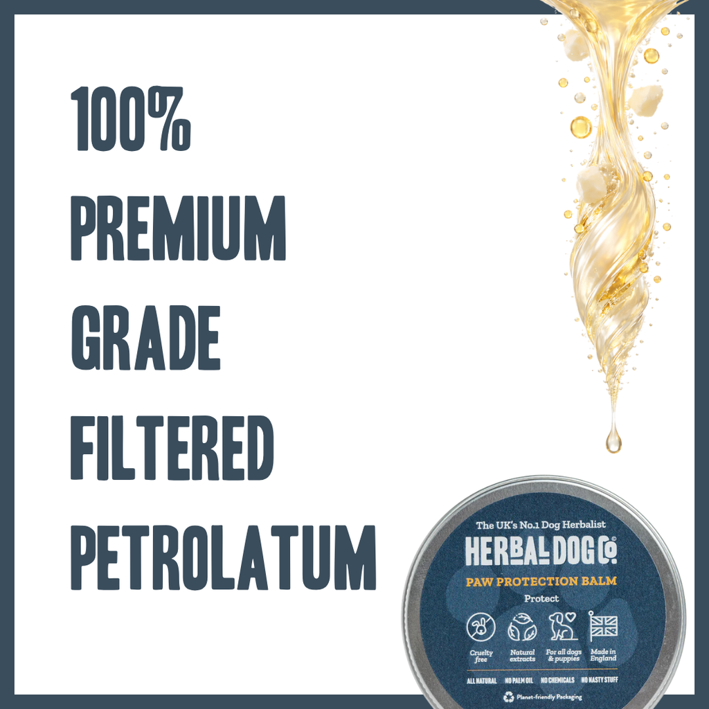 Paw Protection Balm for dogs – natural nourishing protective paw pad balm | Herbal Dog Co