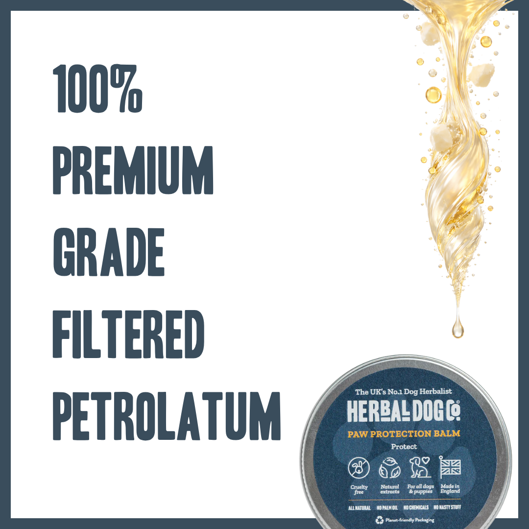 Paw Protection Balm for dogs – natural nourishing protective paw pad balm | Herbal Dog Co