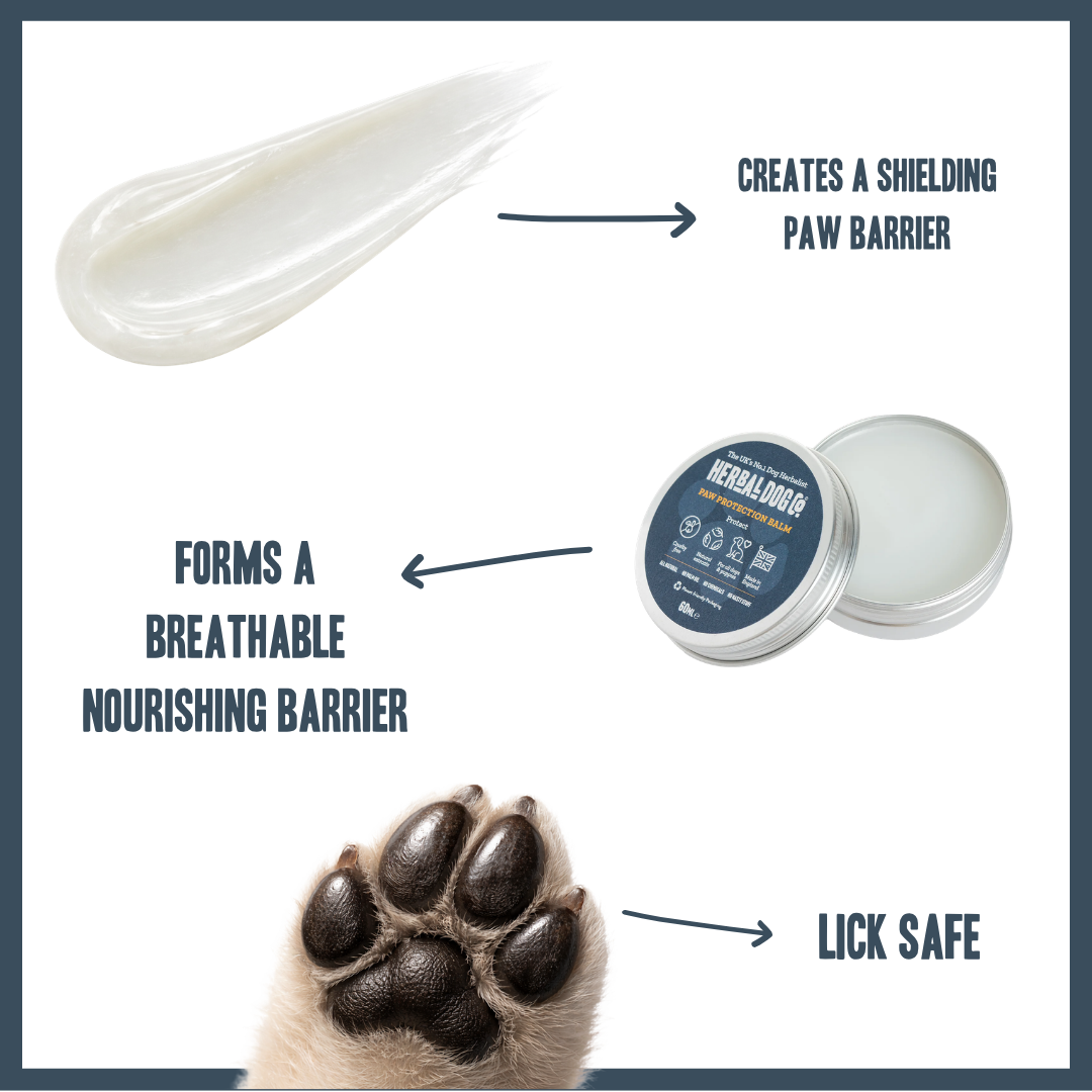 Paw Protection Balm for dogs – natural nourishing protective paw pad balm | Herbal Dog Co