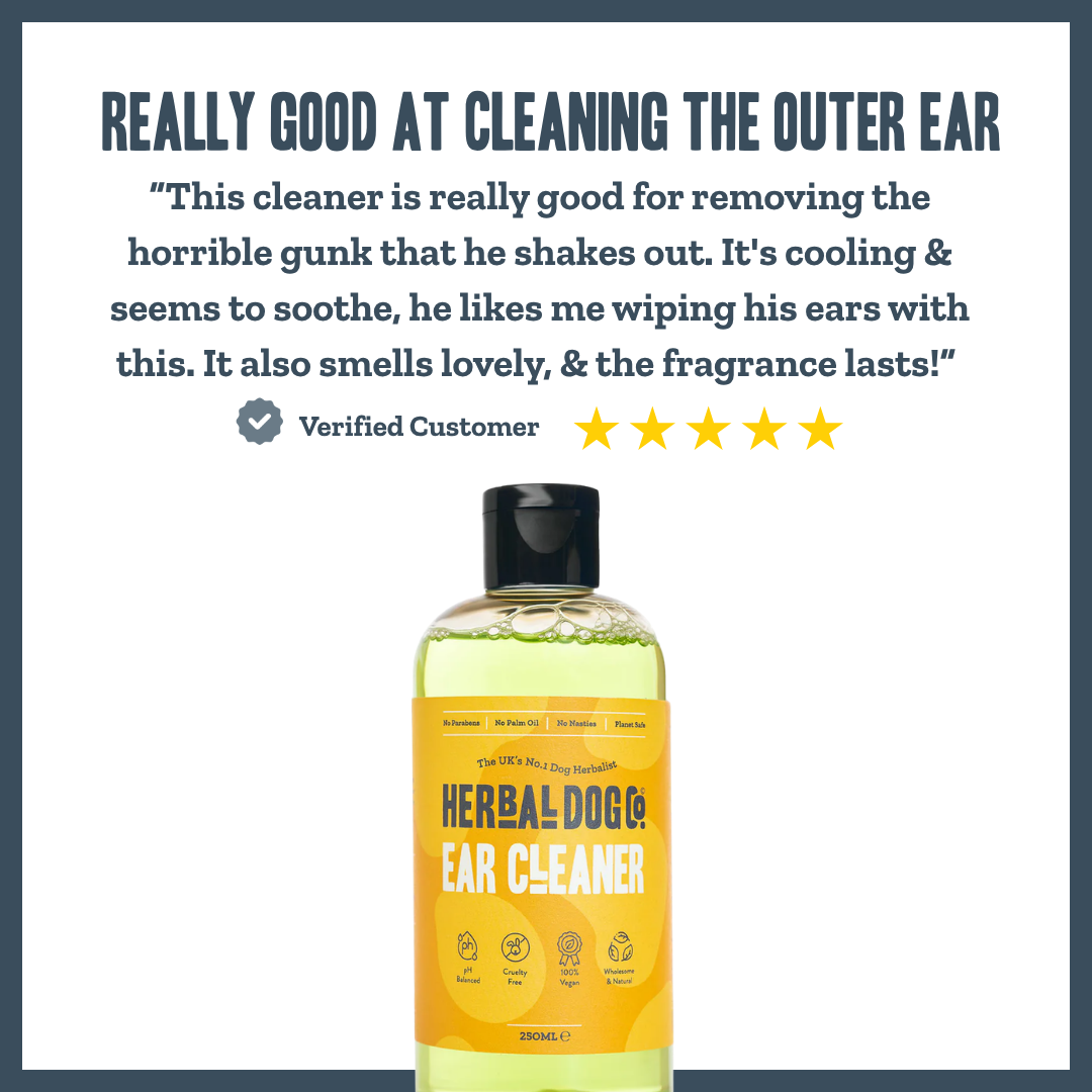 Botanical Ear Cleaner