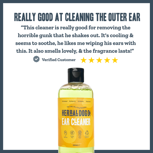 Botanical Ear Cleaner for dogs – natural herbal ear cleaning solution | Herbal Dog Co