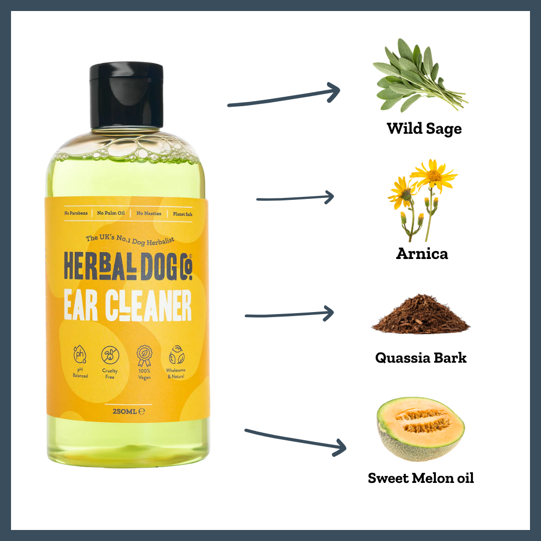 Botanical Ear Cleaner