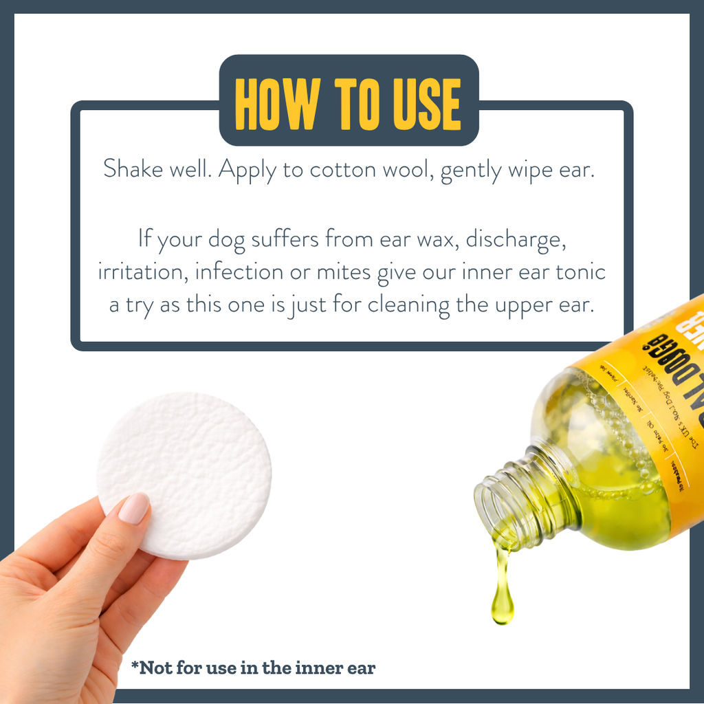 Botanical Ear Cleaner for dogs – natural herbal ear cleaning solution | Herbal Dog Co