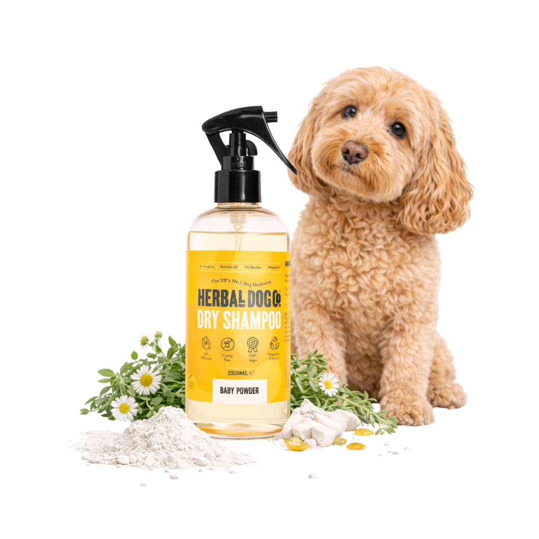 Baby Powder | Botanical Instant Freshening Dry Shampoo