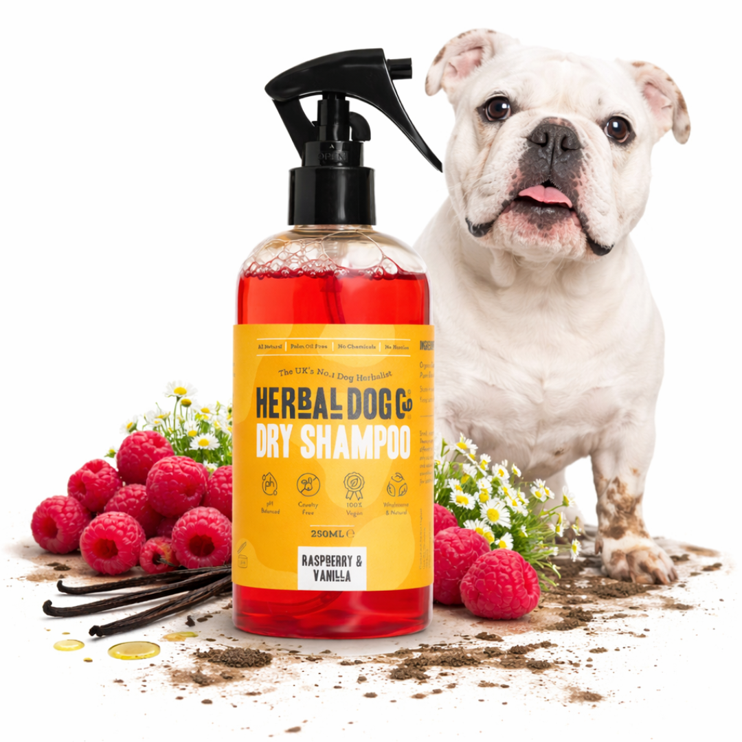 Raspberry & Vanilla | Botanical Instant Freshening Dry Shampoo