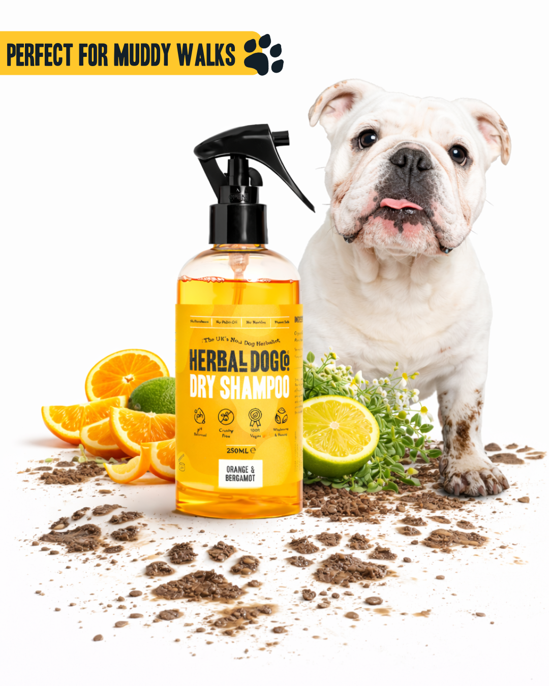 Orange & Bergamot | Botanical Instant Freshening Dry Shampoo