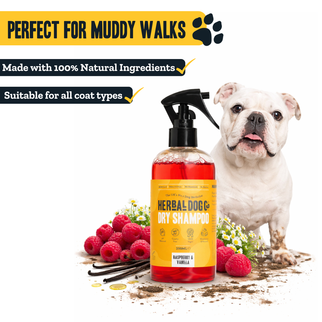 Raspberry & Vanilla | Botanical Instant Freshening Dry Shampoo