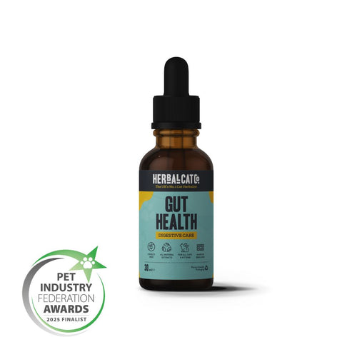 Cat Gut Health & Digestive Drops – natural digestive & gut health supplement for cats | Herbal Dog Co