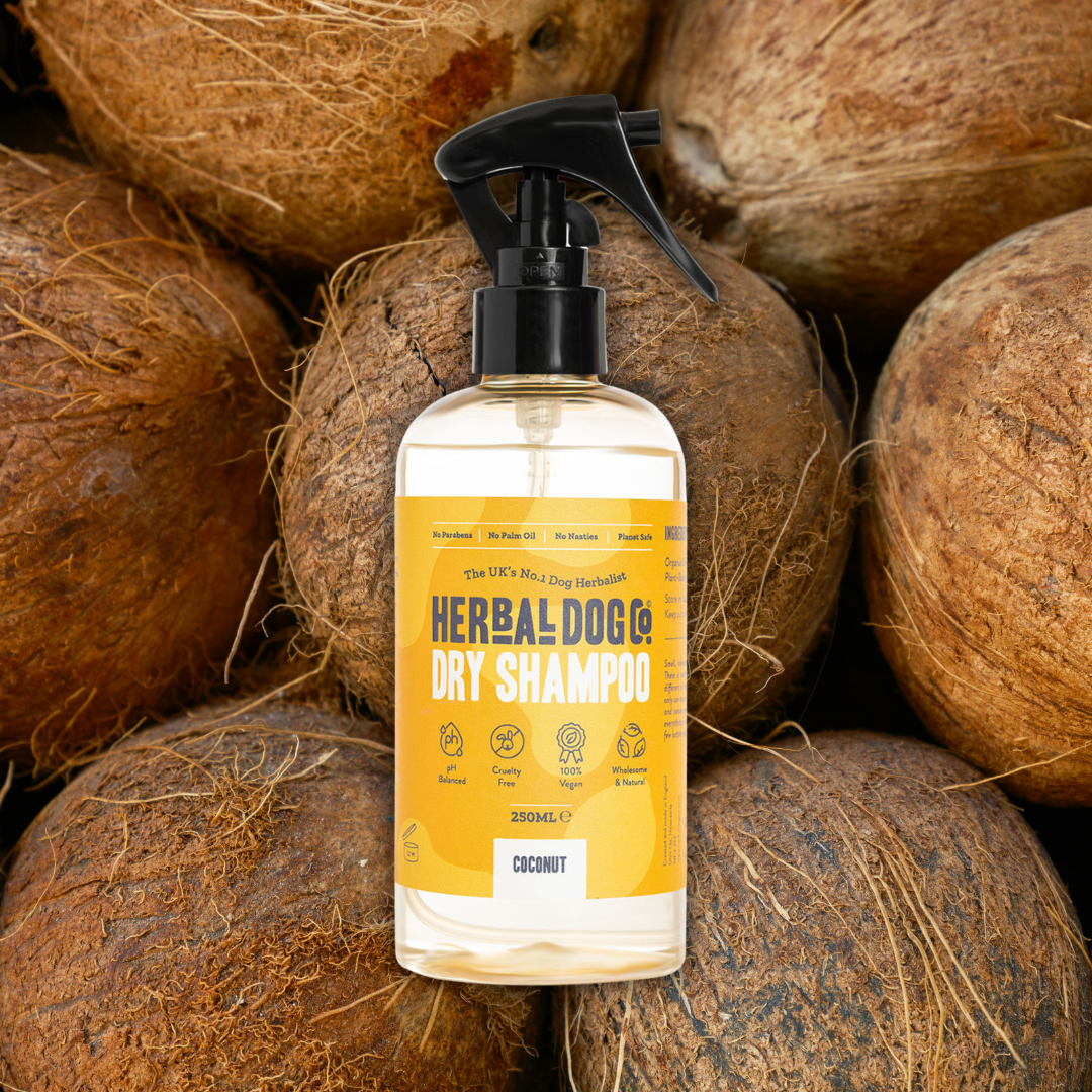 Coconut | Botanical Instant Freshening Dry Shampoo