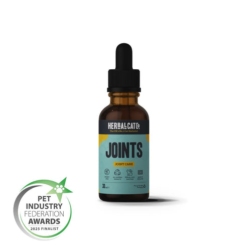 Cat Joint Care Supplement – natural joint mobility support supplement for cats | Herbal Dog Co