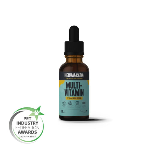 Cat Multivitamin Wellness Care Drops – complete natural daily vitamins for cats | Herbal Dog Co