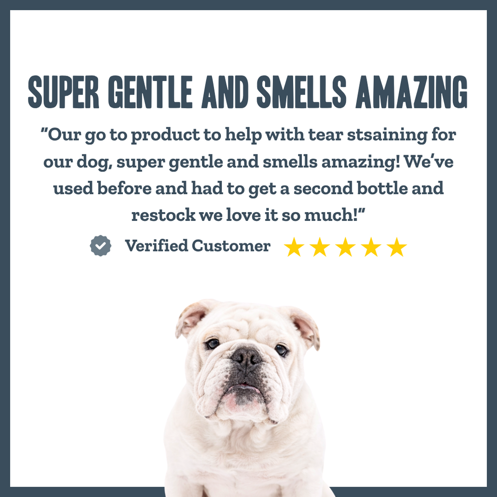 Botanical Face Wash for dogs – gentle natural facial cleanser for sensitive skin | Herbal Dog Co