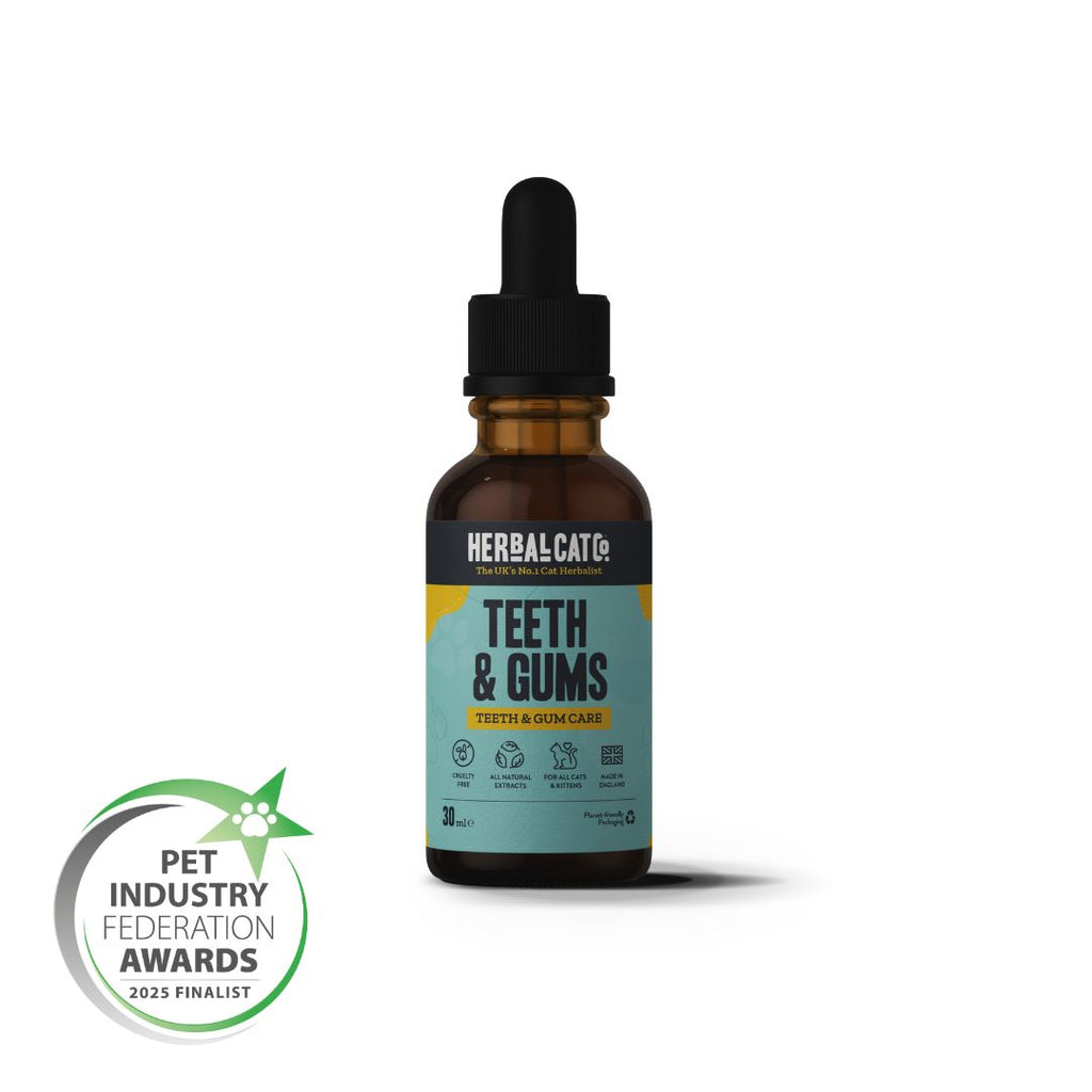 Cat Dental Care Drops