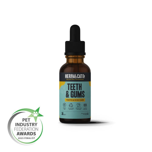 Cat Dental Care Drops – natural herbal dental hygiene supplement for cats | Herbal Dog Co