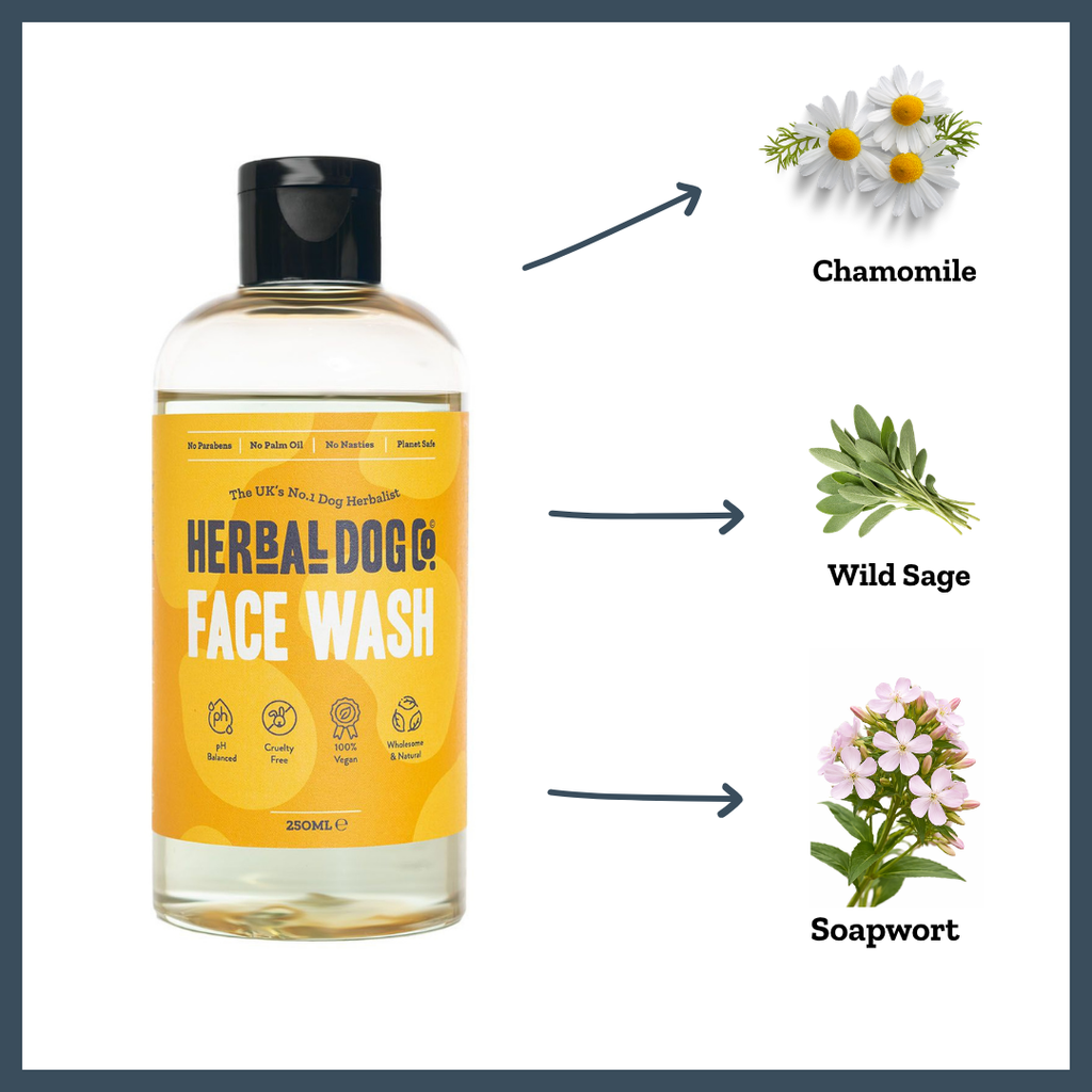 Botanical Face Wash for dogs – gentle natural facial cleanser for sensitive skin | Herbal Dog Co