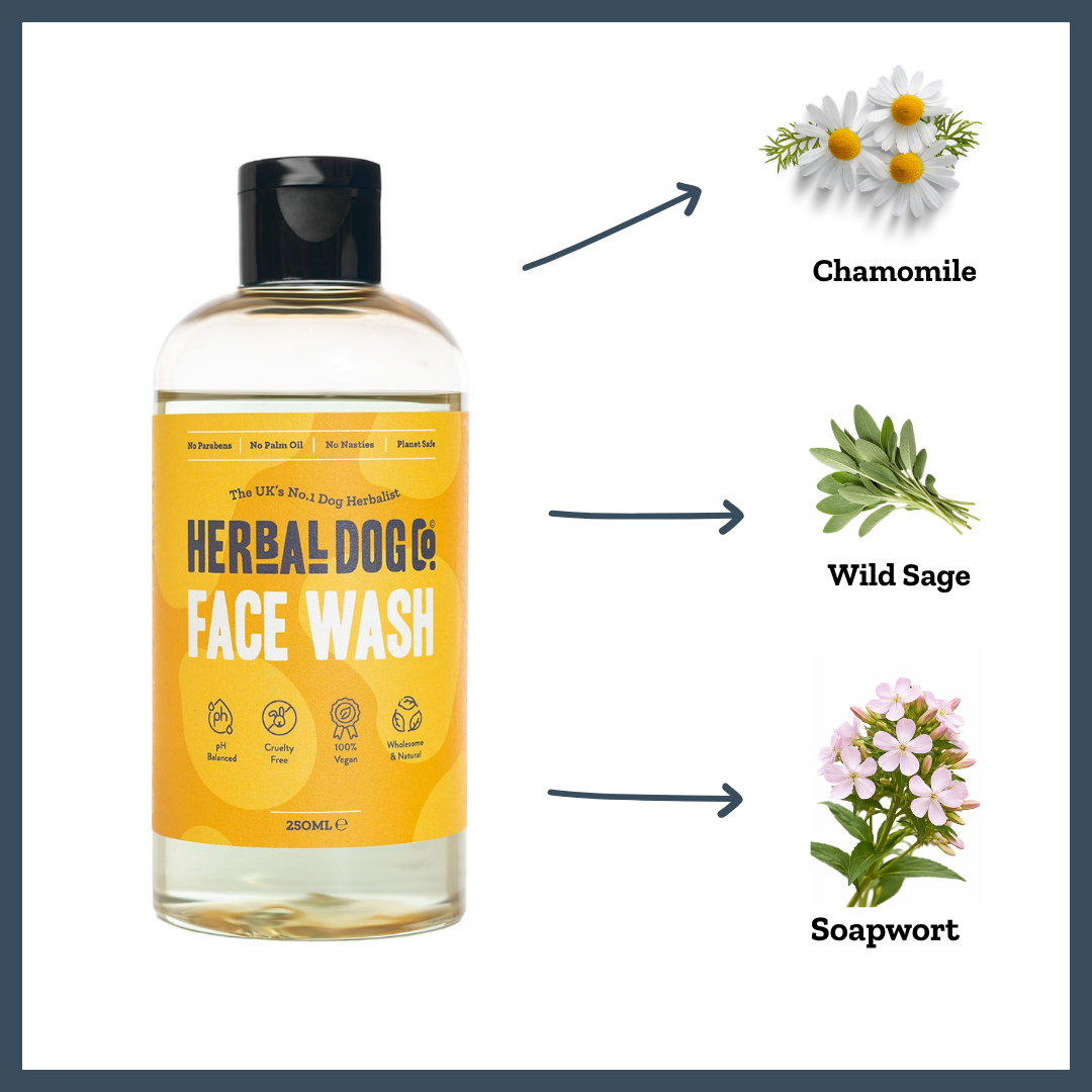 Botanical Face Wash for dogs – gentle natural facial cleanser for sensitive skin | Herbal Dog Co