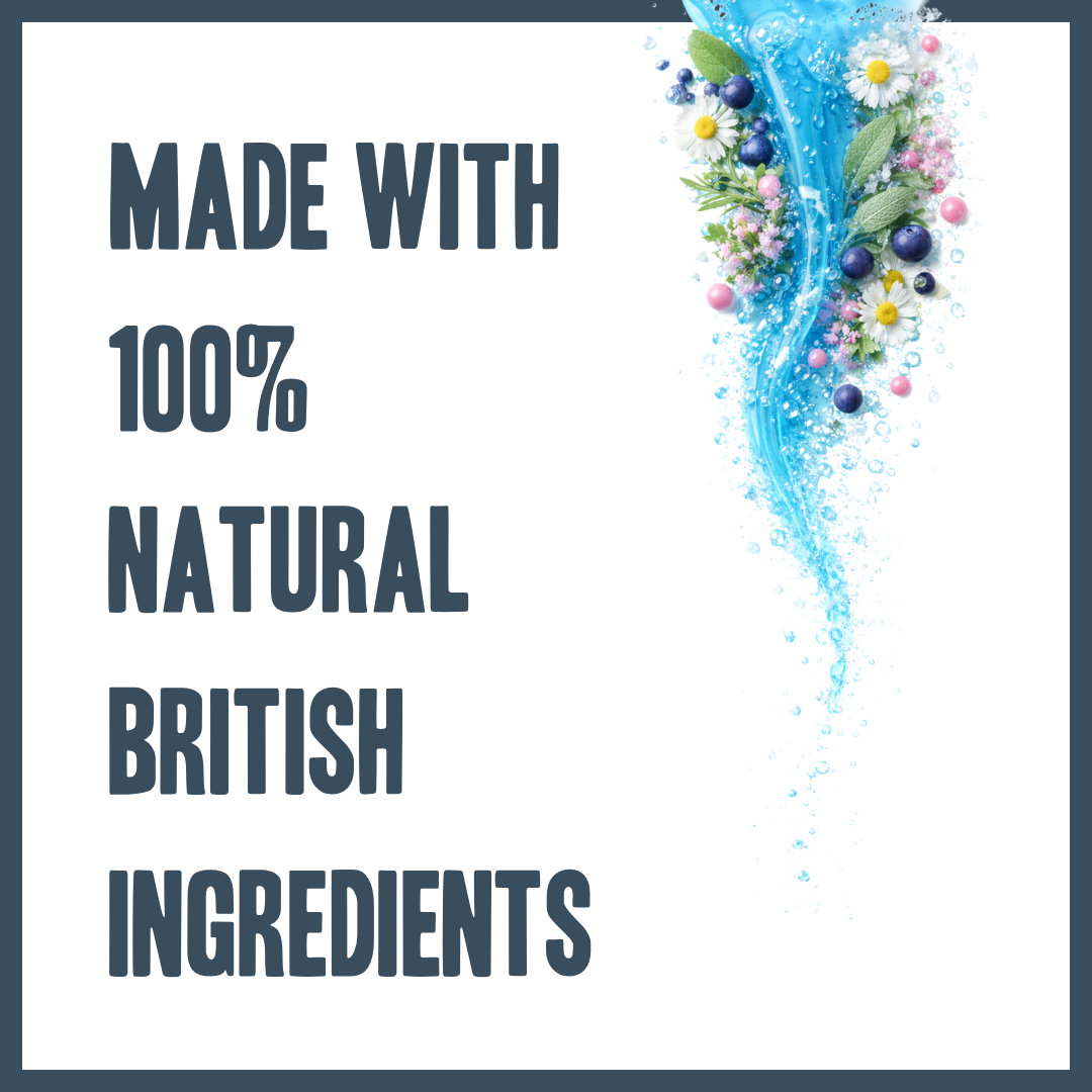 Botanical Face Wash for dogs – gentle natural facial cleanser for sensitive skin | Herbal Dog Co