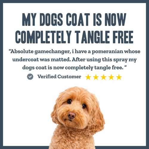 Botanical Knot-Free Brushing Mist for dogs – natural detangling & conditioning spray | Herbal Dog Co