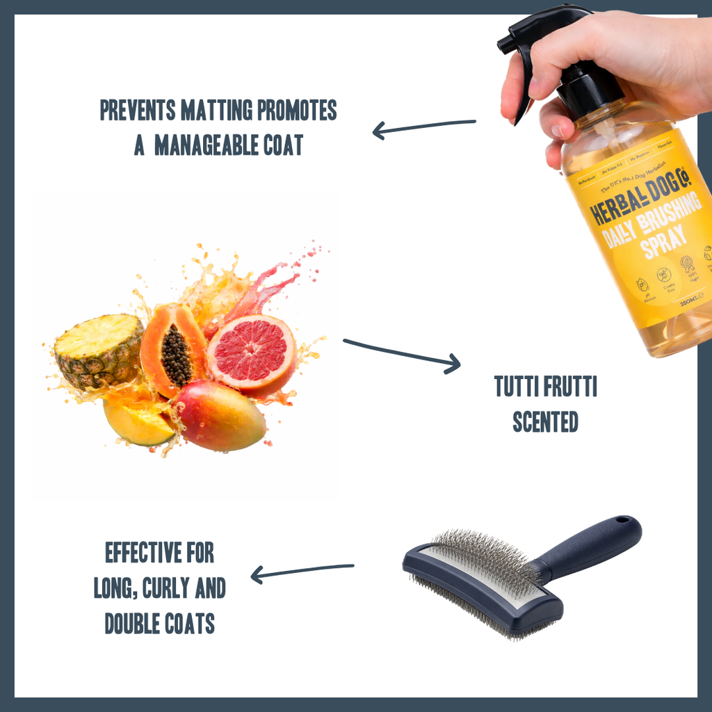 Botanical Knot-Free Brushing Mist for dogs – natural detangling & conditioning spray | Herbal Dog Co