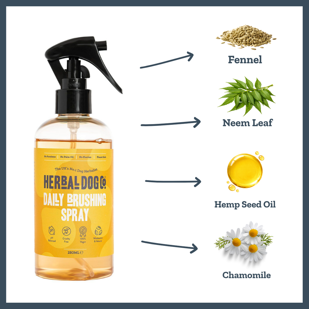 Botanical Knot-Free Brushing Mist for dogs – natural detangling & conditioning spray | Herbal Dog Co