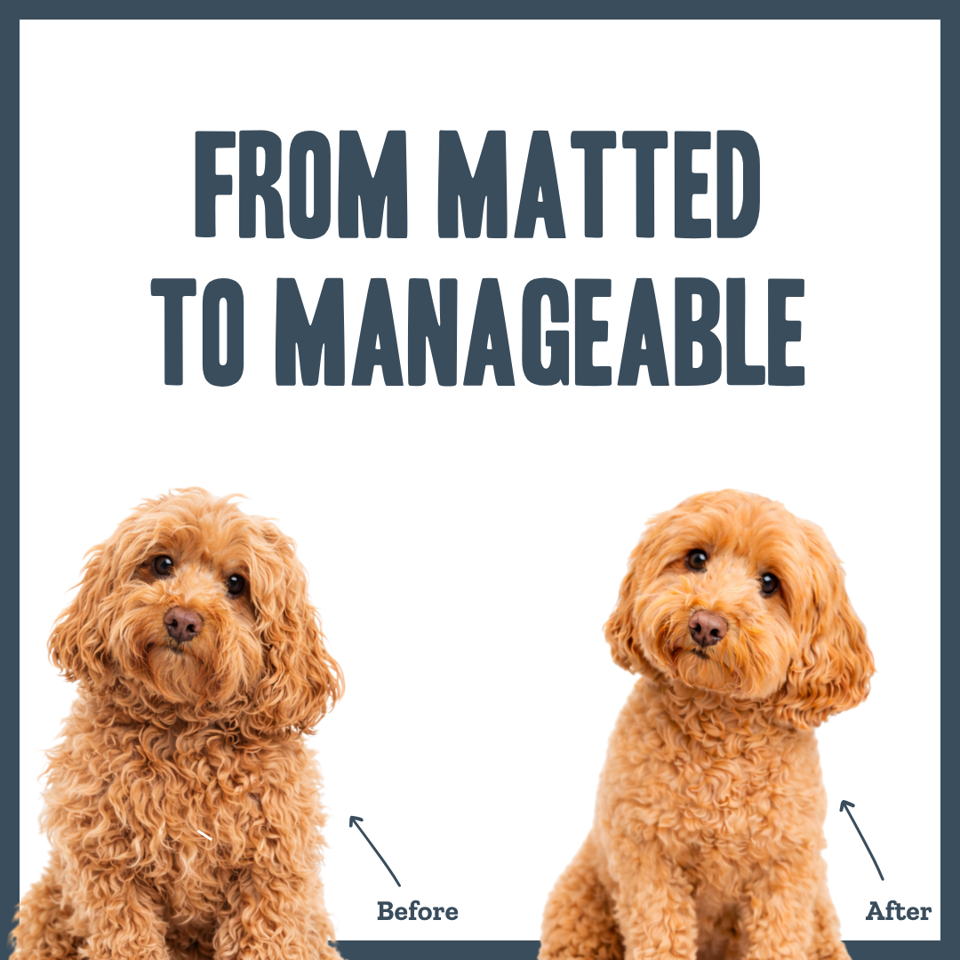 Botanical Knot-Free Brushing Mist for dogs – natural detangling & conditioning spray | Herbal Dog Co
