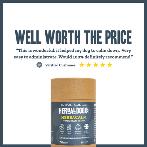 Inner Calm Support for dogs – natural calming & stress relief herbal powder | Herbal Dog Co