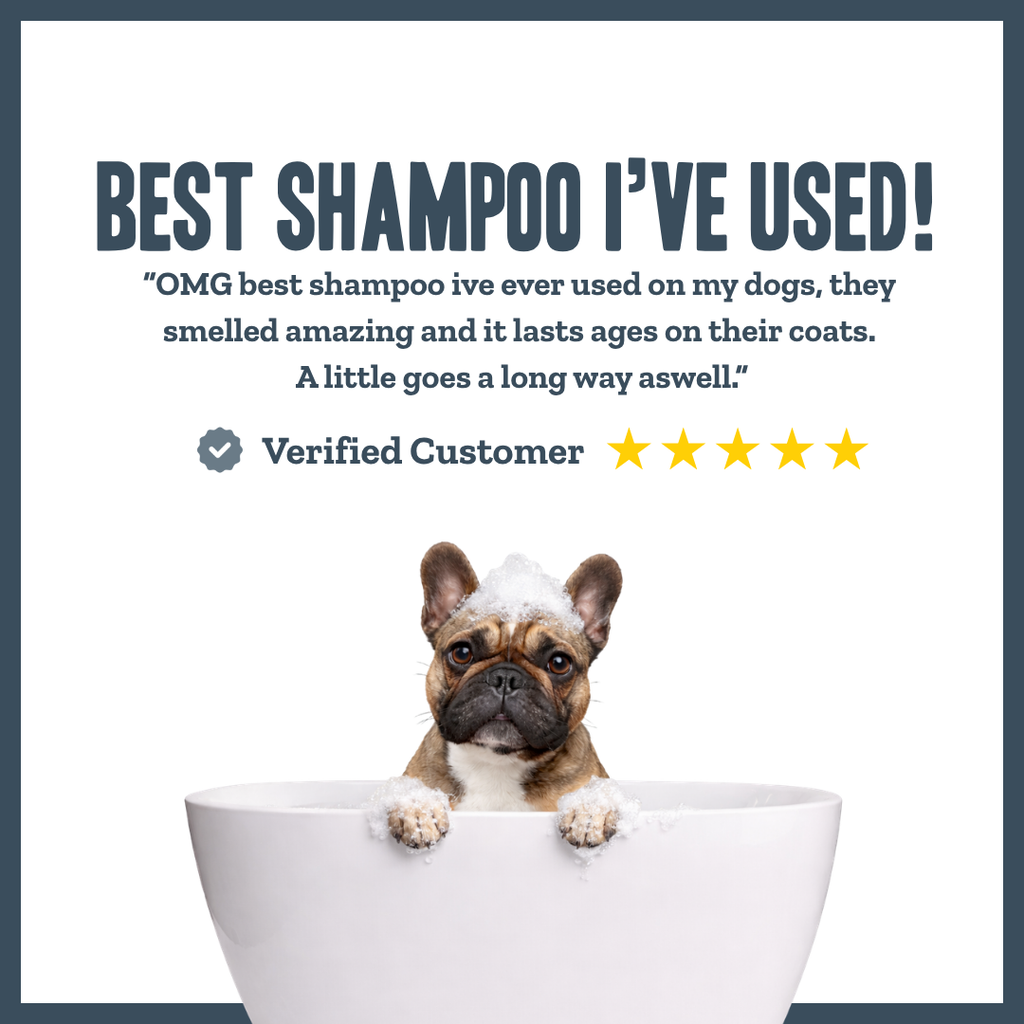 Raspberry & Vanilla Shampoo for dogs – gentle botanical everyday wash | Herbal Dog Co