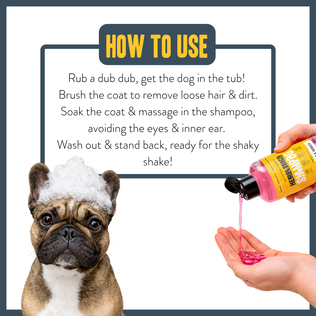 Raspberry & Vanilla Shampoo for dogs – gentle botanical everyday wash | Herbal Dog Co