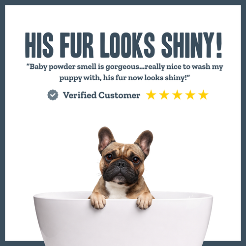 Baby Powder Shampoo for dogs – soft gentle botanical everyday wash | Herbal Dog Co