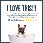 Coconut Shampoo for dogs – gentle everyday botanical coconut wash | Herbal Dog Co