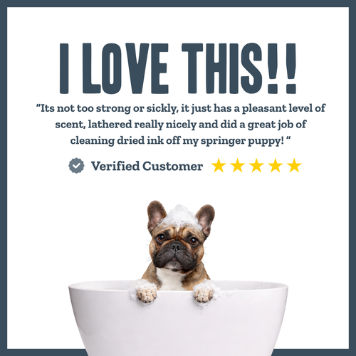 Coconut Shampoo for dogs – gentle everyday botanical coconut wash | Herbal Dog Co