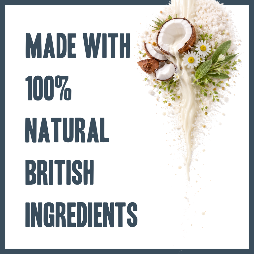 Coconut Shampoo for dogs – gentle everyday botanical coconut wash | Herbal Dog Co