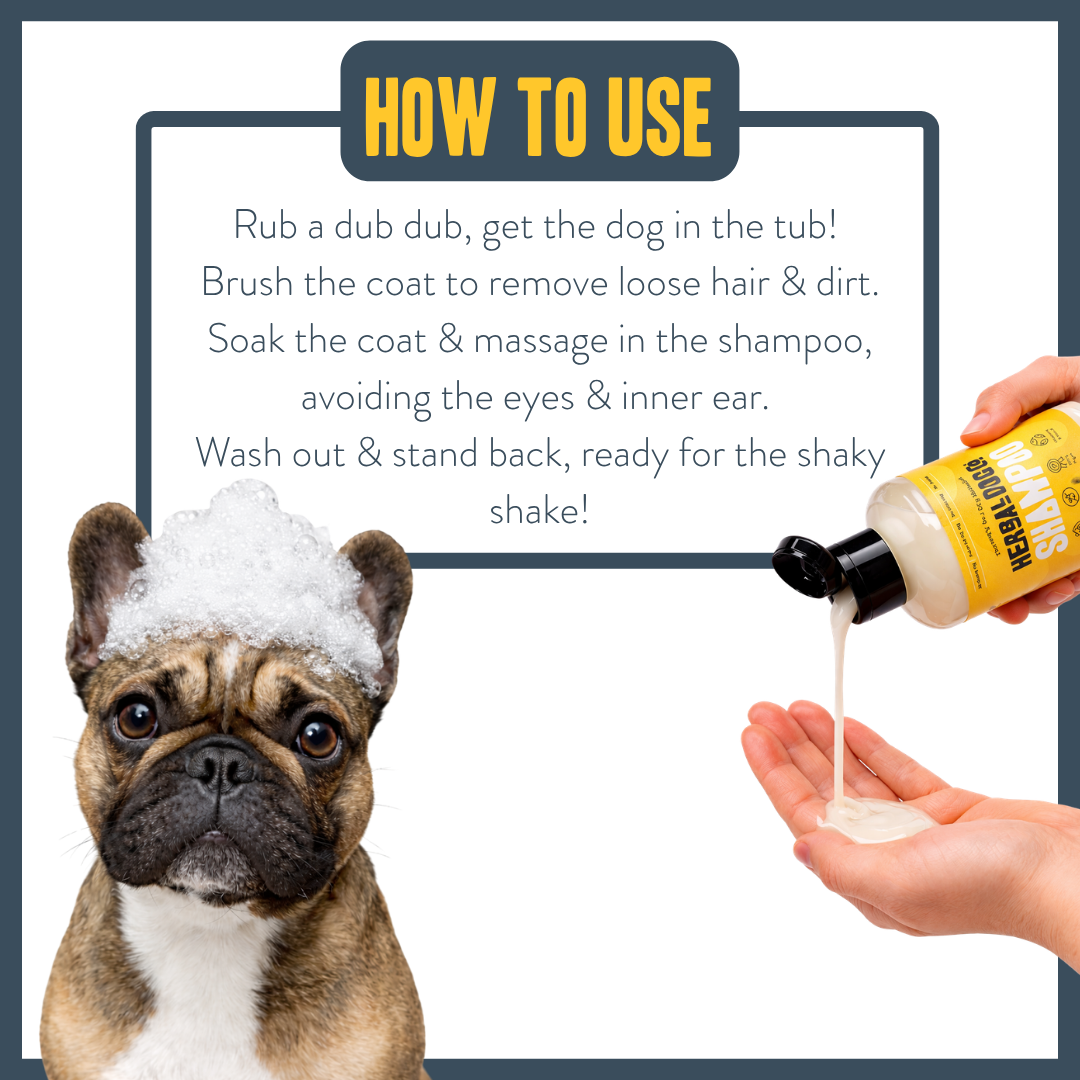Coconut Shampoo for dogs – gentle everyday botanical coconut wash | Herbal Dog Co