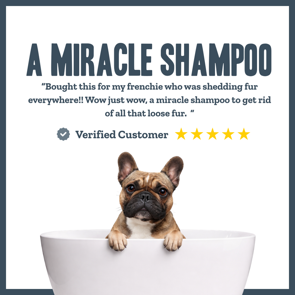 Botanical Deshedding & Purifying Wash for dogs – natural deep-clean anti-shedding shampoo | Herbal Dog Co