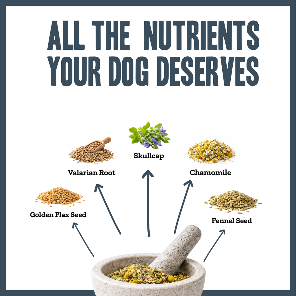 Inner Calm Support for dogs – natural calming & stress relief herbal powder | Herbal Dog Co