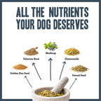 Inner Calm Support for dogs – natural calming & stress relief herbal powder | Herbal Dog Co