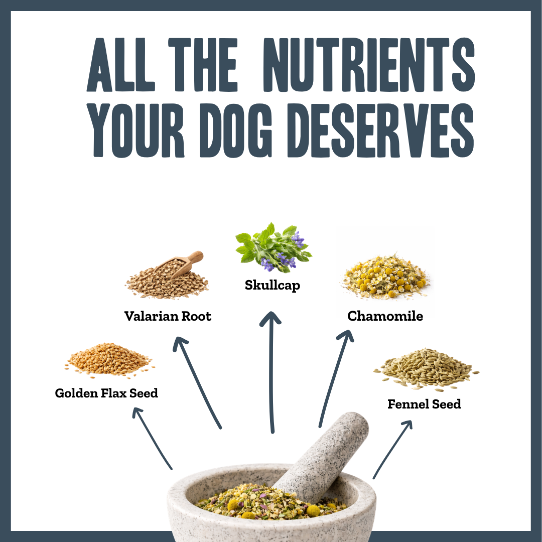 Inner Calm Support for dogs – natural calming & stress relief herbal powder | Herbal Dog Co
