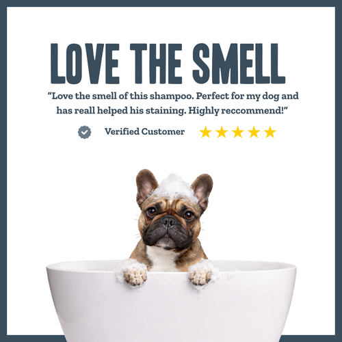 Botanical Dermal Clarifying Wash for dogs – natural rosemary skin-clarifying dog shampoo | Herbal Dog Co