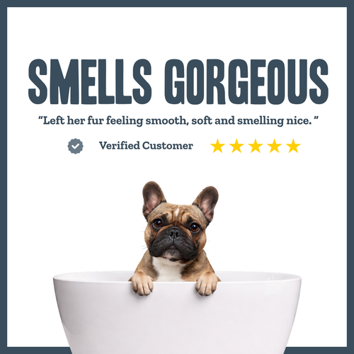 Herba X Botanical Purifying Wash for dogs – natural flea & parasite repellent shampoo | Herbal Dog Co