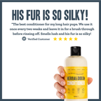 Botanical Replenishing Deep Conditioner for dogs – natural coconut deep coat conditioner | Herbal Dog Co