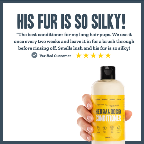 Botanical Replenishing Deep Conditioner for dogs – natural coconut deep coat conditioner | Herbal Dog Co