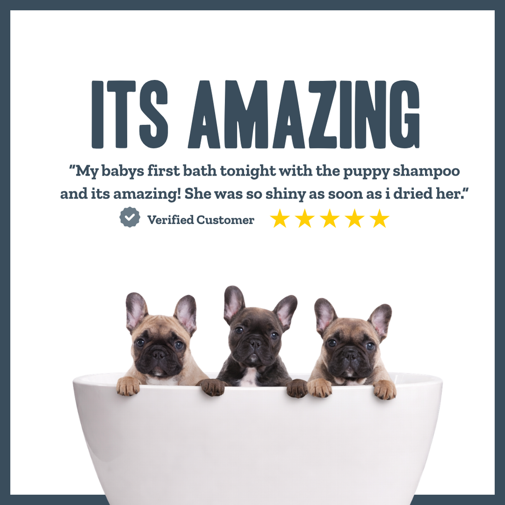 Botanical Puppy Gentle Wash – natural gentle shampoo for puppies | Herbal Dog Co