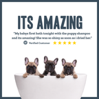 Botanical Puppy Gentle Wash – natural gentle shampoo for puppies | Herbal Dog Co
