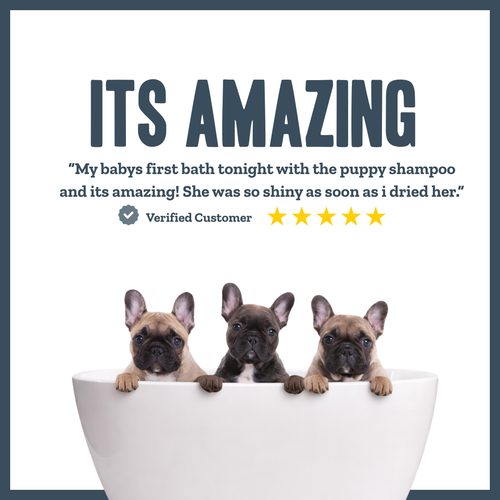 Botanical Puppy Gentle Wash – natural gentle shampoo for puppies | Herbal Dog Co