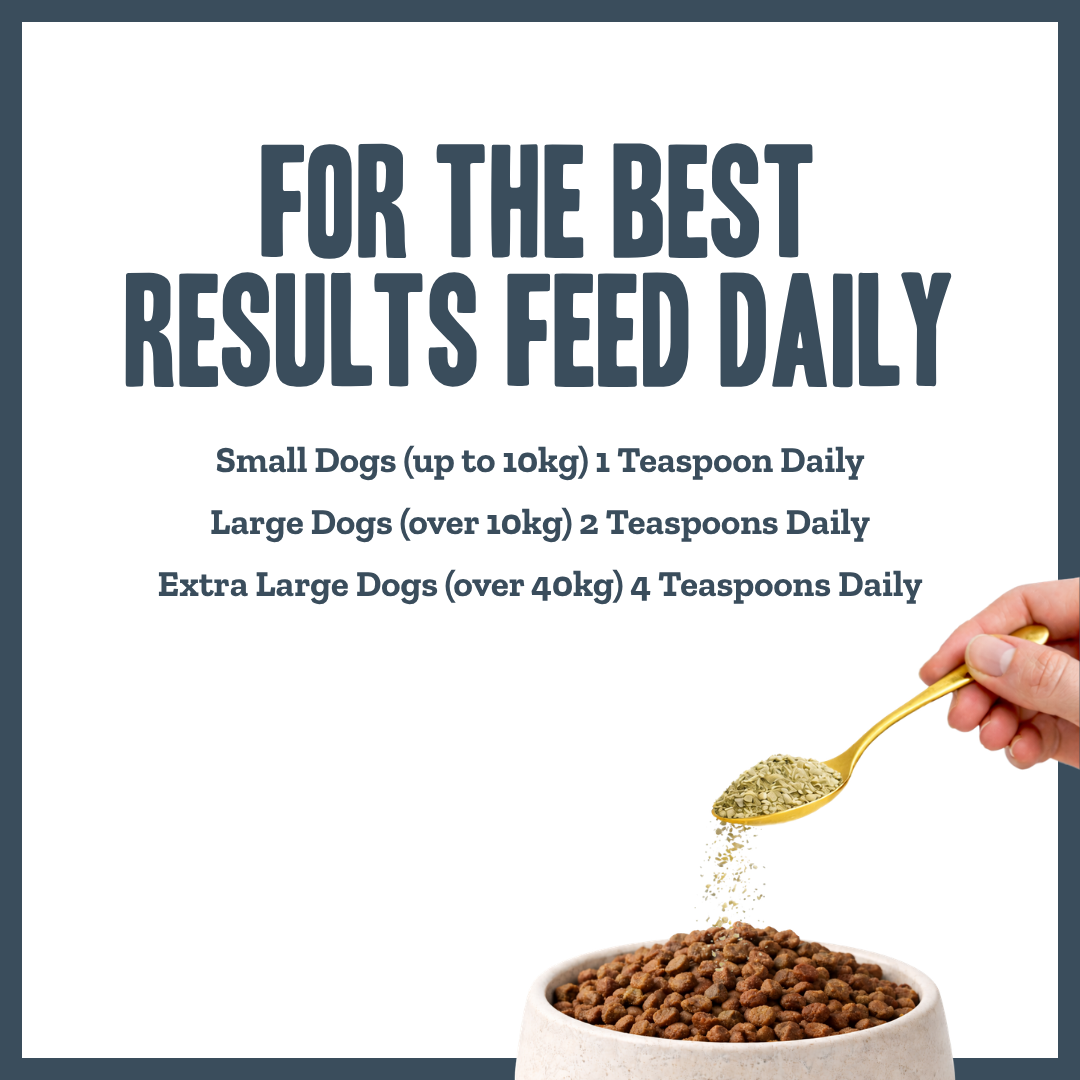 Inner Calm Support for dogs – natural calming & stress relief herbal powder | Herbal Dog Co
